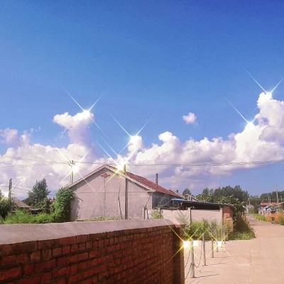 注册就送38的平台